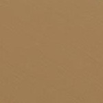champagne bronze