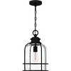 Bowles 1-Light Earth Black Outdoor Hanging Lantern - 4 of 4