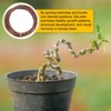 Unique Bargains Aluminum Gardening Bonsai Training Wire 3 Rolls - 3 of 4
