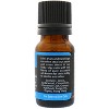 Plantlife Peace Essential Oil Blend – 100% Pure & Therapeutic Grade – Natural, Undiluted & Calming – No Additives or Fillers – 10ml Aromatherapy - 2 of 4