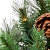9-FT Pre-Lit Garland with 150 Color-Changing LED Lights and Pinecones - 4 of 4