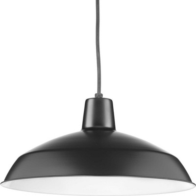 Matte Black Glass Indoor/Outdoor Pendant Light, 16" Wide