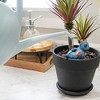 Esterno Clay Self-Watering Spikes, 3pk; Terracotta Clay Plant Auto-Watering Stakes, Animal-Shaped - 4 of 4