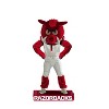 Evergreen University of Arkansas, Mascot Statue - 4 of 4