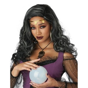 California Costumes Mystified Adult Women's Wig (Grey) - 1 of 1