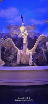 Guest review image 3 of 5, zoom in