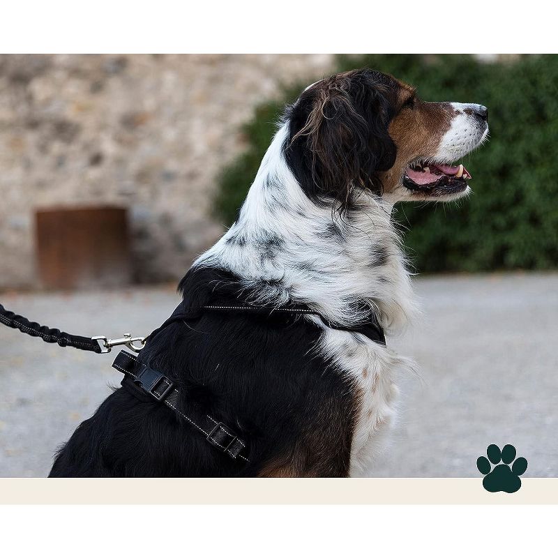 DDOXX Adjustable Air Mesh Step-in Dog Harness, Medium, Black, 2 of 4