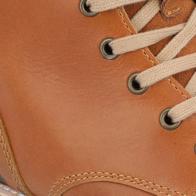 chestnut