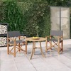 vidaXL Director's Chairs 2 pcs Set - Solid Teak Wood Outdoor Furniture - Lightweight - 2 of 4