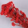 Alilang Decorative Dried Berry Stems for Home Decoration and Floral Arrangements, 17 Inches - 3 of 4