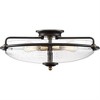 Quoizel Lighting Griffin 4 - Light Flush Mount in  Palladian Bronze - 4 of 4