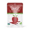 Nature's Turn Freeze-Dried Fruit Snacks - Apple Cinnamon Crisps -  No Sugar Added, Non GMO, Gluten Free, Nothing Artificial - 15g (.53oz) - 6-PACK - 2 of 4