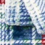 plaid multi