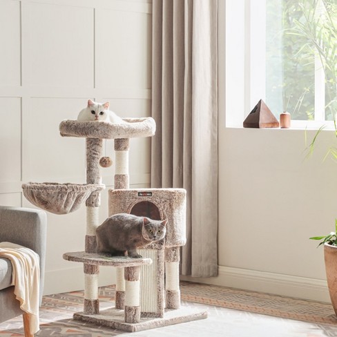 Cat tree for elderly hot sale cat