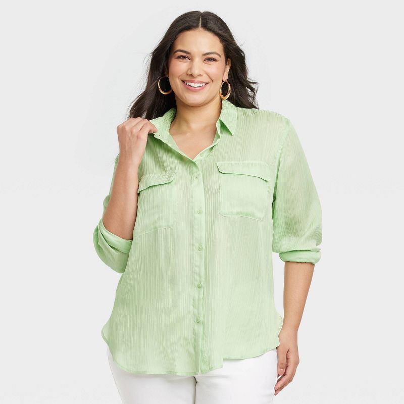 Women's Long Sleeve Chiffon Button-Down Shirt - Ava & Viv™, 1 of 5