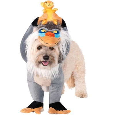 Dog Clothes & Dog Costumes : Target