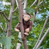 HABA Little Friends Monkey - Chunky Plastic Zoo Animal Toy Figure (2.5" Tall) - 3 of 4
