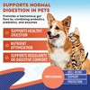 Beloved Pets Probiotics & Prebiotics with Enzymes Supplement for Dogs and Cats, Digestive Gut Flora Health Supports 2 Oz  - 1 Pack - 2 of 4