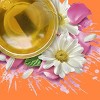 Tazo Calm Chamomile Herbal Tea - 20ct - image 4 of 4
