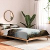 Deny Designs King Luke Gram Forest Layers Comforter and Pillow Sham - 2 of 4