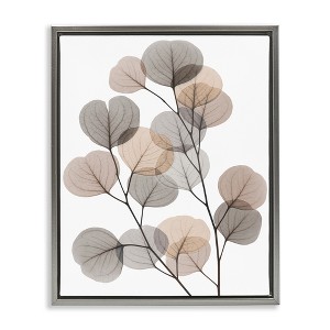 Stupell Industries Modern Eucalyptus Leaf Stems Translucent Brown Grey Leaves Floating Frame Canvas Art, Gray, 25" x 31" - 1 of 4