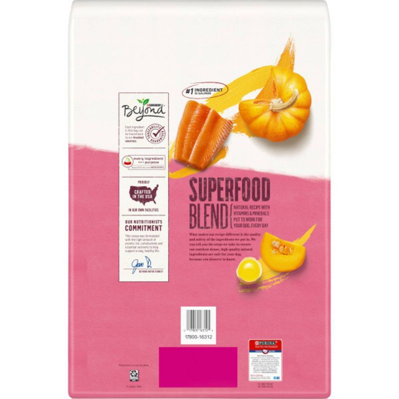 Purina Beyond Superfood Blend Salmon, Egg &#38; Pumpkin Recipe Dry Dog Food - 14.5lbs, 3 of 9