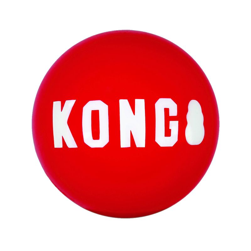 KONG Signature Balls Dog Toy - 2pk, 3 of 5