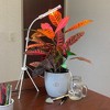 Tierra Garden Plant Deluxe 5 Piece Kit - Two Plant Alarms, one Grow Light, Grooming Kit and Spike Water Kit - 4 of 4