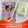 QUOKKA Magnetic Puzzles for Kids – Montessori Puzzles for Toddlers 3-5 – Preschool Game Learning Human Body Parts Anatomy Skeleton - 4 of 4