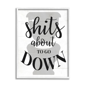 Stupell Industries About To Go Down Funny Bathroom Family Home Word Design Framed Giclee Art - 1 of 4