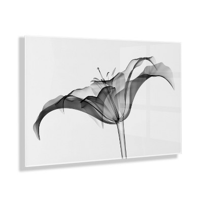 23" x 31" Lily X Ray Floral by The Creative Bunch Studio Floating Acrylic Art - Kate & Laurel All Things Decor