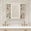 FURNIinspire Bathroom Storage Cabinets Wall Mounted Bathroom Storage Cabinet With Mirror Door, Bathroom Storage Shelves, Beige, 7.16"*35.5"*28.74" - 4 of 4
