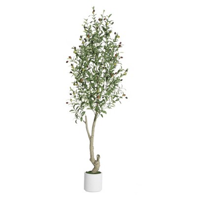 Tall Faux Olive Tree，5ft（60in） Tall Faux Olive Tree with White Planter and Green Fake Moss, 1 Pack