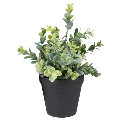 Northlight 10" Green Artificial Melia Azedarach Plant in Black Pot