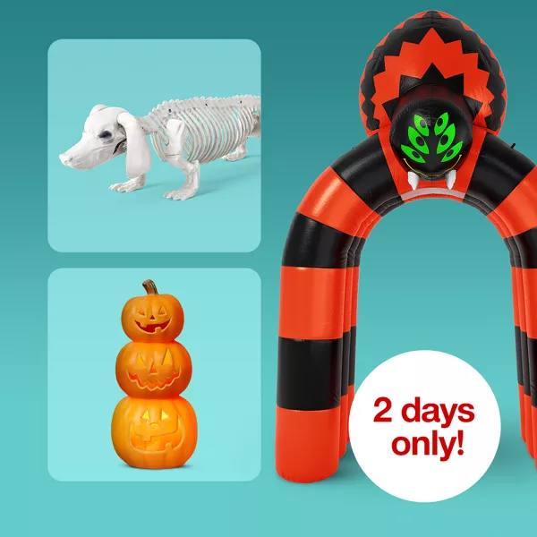 2 days only!