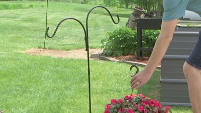 84" Black Steel Double Shepherd Hooks for Outdoor Hanging