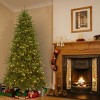 National Tree Company 7.5 ft. Northern Spruce Memory-Shape® Tree with PowerConnect(TM) System, Dual Color® LED Lights and Music Match® - 3 of 3