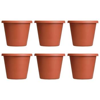 The HC Companies 12 Inch Classic Durable Plastic Flower Pot Container Garden Planter with Molded Rim and Drainage Holes, Terra Cotta (6 Pack)
