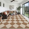 Washable Easy Jute Rugs Modern Checkered Carpet with Non-Slip Backing - 4 of 4