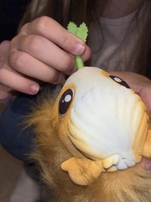 Guest review image 1 of 6, zoom in