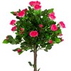 Northlight 47" Potted Green and Pink Artificial Rose Tree - 4 of 4