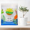 Soil Sunrise Olive Tree Potting Soil Mix, for Planting, Repotting, Growing Plants - 2 of 4