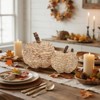 BRINJOY 2-Piece Beige Woven Cattail Pumpkin Set - Handmade Fall Decorations, Farmhouse Table Centerpiece for Indoors, Mantel, Dining Table, Porch - 2 of 4