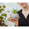 Silver Buffalo Star Wars Death Star 3-Inch Ceramic Mini Planter With Artificial Succulent - 4 of 4
