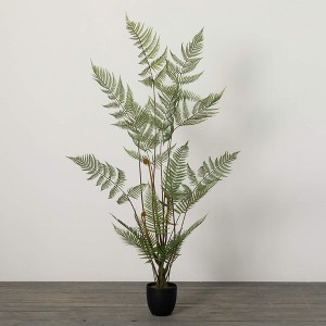 Sullivans Artificial High Potted Fiddlehead Fern 60"H; Green - 1 of 4