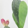 Nasitip Artificial Cactus Potted Plant 42" Tall Fake Big Cactus Plants, Faux Cacti Realistic Lifelike Saguaro for Indoor Outdoor Decoration - 2 of 4