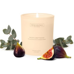 Benevolence LA Pacific Driftwood Scented Candle 8oz, 45-Hour Burn - 1 of 4