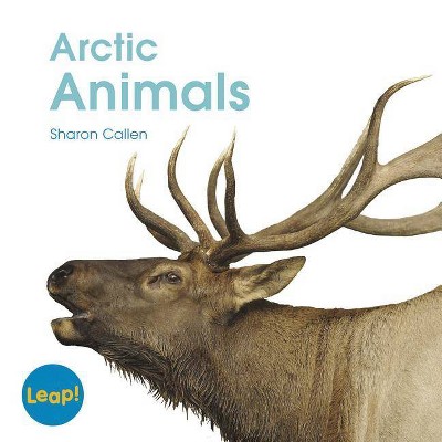 Arctic Animals - (Leap! Set C: Life Cycles) by  Sharon Callen (Paperback)