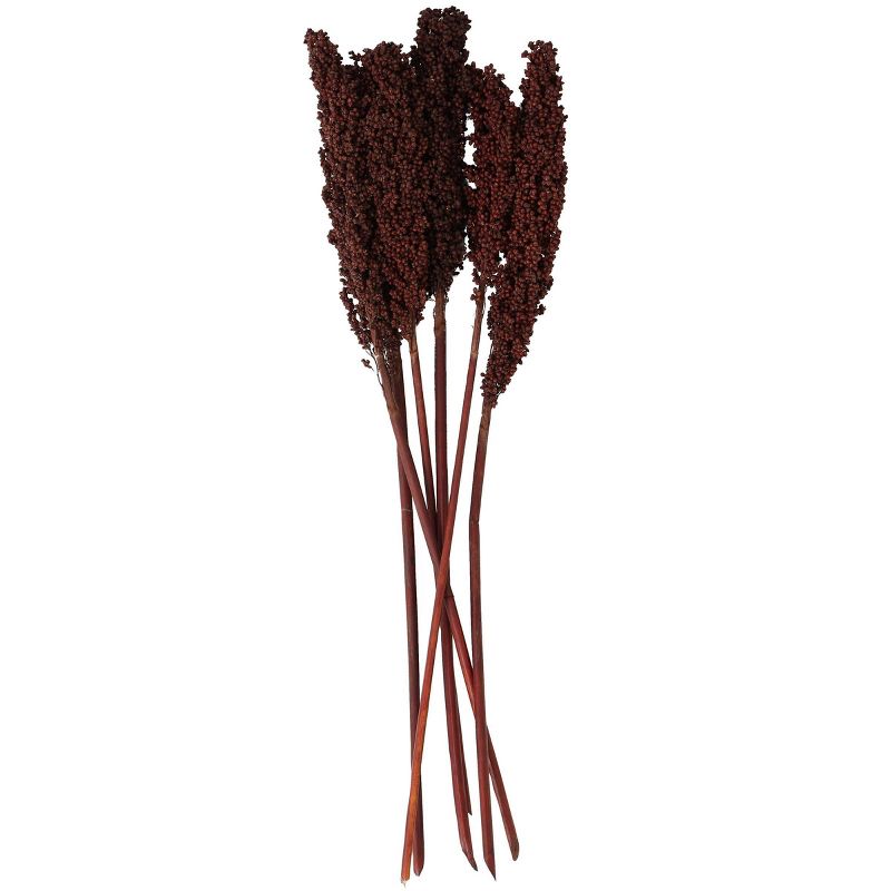 Dried Plant Corn Maze Natural Foliage with Long Stems Dark Brown - Olivia &#38; May, 1 of 7