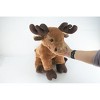 Collectible Wildlife Gifts | Moose, Very Nice Plush, Stuffed Animal, Educational, Toy, Kids, Realistic Figure, Lifelike Model, Replica, Gift,    15 - 2 of 4